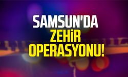 Samsun İlkadım'da zehir operasyonu