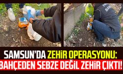 Samsun’da zehir operasyonu: Bahçeden sebze değil zehir çıktı!