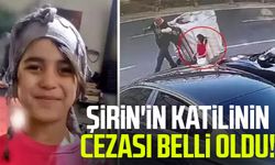 Şirin'in katilinin cezası belli oldu!