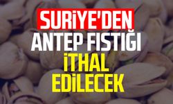 Suriye'den antep fıstığı ithal edilecek