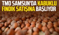 TMO Samsun'da kabuklu fındık satışına başlıyor