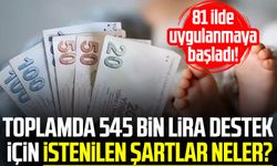 81 ilde uygulanmaya başladı! Toplamda 545 bin lira destek için istenilen şartlar neler?