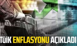 TÜİK enflasyonu açıkladı