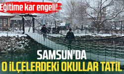 Eğitime kar engeli! Samsun'da o ilçelerdeki okullar tatil