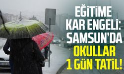 Eğitime kar engeli: Samsun’da okullar 1 gün tatil!