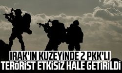2 PKK'lı terörist etkisiz hale getirildi
