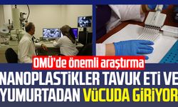 Nanoplastikler tavuk eti ve yumurtadan vücuda giriyor: OMÜ’de önemli araştırma