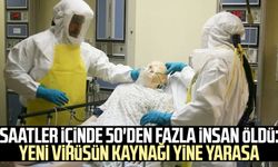 Saatler içinde 50'den fazla insan öldü: Yeni virüsün kaynağı yine yarasa