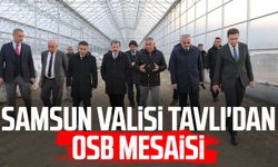Samsun Valisi Orhan Tavlı'dan OSB mesaisi