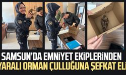 Samsun'da emniyet ekiplerinden yaralı orman çulluğuna şefkat eli