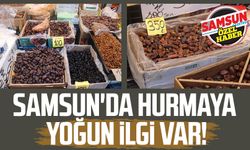 Samsun'da Ramazan ayının vazgeçilmezi hurmaya yoğun ilgi var!