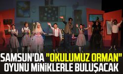 Samsun'da "Okulumuz Orman" oyunu miniklerle buluşacak