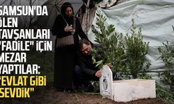 Samsun'da ölen tavşanları "Fadile" için mezar yaptılar: "Evlat gibi sevdik"