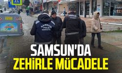 Samsun'da zehirle mücadele