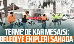 Terme'de kar mesaisi: Belediye ekipleri sahada