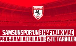 Samsunspor'un 3 haftalık maç programı açıklandı: İşte tarihler