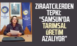 Ziraatçilerden tepki: "Samsun'da tarımsal üretim azalıyor"
