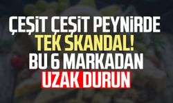 Çeşit çeşit peynirde tek skandal! Bu 6 markadan uzak durun