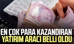 En çok para kazandıran yatırım aracı belli oldu