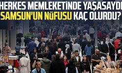 Herkes memleketinde yaşasaydı Samsun'un nüfusu kaç olurdu?
