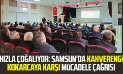 Hızla çoğalıyor: Samsun'da kahverengi kokarcaya karşı mücadele çağrısı