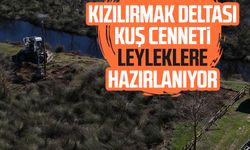 Kızılırmak Deltası Kuş Cenneti leyleklere hazırlanıyor