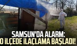Samsun'da alarm: O ilçede ilaçlama başladı!
