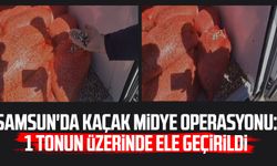 Samsun'da kaçak midye operasyonu: 1 tonun üzerinde ele geçirildi