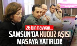 Samsun'da kuduz aşısı masaya yatırıldı: 26 bin hayvan...