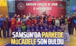 Samsun'da parkede mücadele son buldu