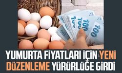 Yumurta fiyatları için yeni düzenleme yürürlüğe girdi