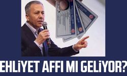 Ehliyet affı mı geliyor? Açıklama yapıldı