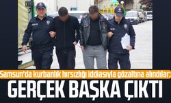 Samsun'da kurbanlık hırsızlığı iddiasında gerçek başka çıktı