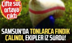 Samsun'da tonlarca fındık gitti, ekipler iz sürdü!