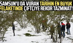 Samsun'u da vuran tarihin en büyük felaketinde çiftçiye rekor tazminat!