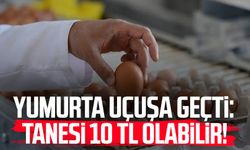 Yumurta uçuşa geçti: Tanesi 10 TL olabilir!