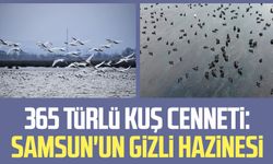 365 türlü kuş cenneti: Samsun'un gizli hazinesi