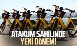 Atakum sahilinde "TAZI" dönemi!