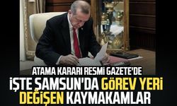 Atama Kararı Resmi Gazete'de: İşte Samsun'da görev yeri değişen kaymakamlar