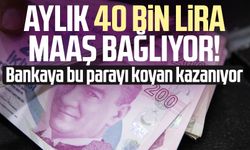 Aylık 40 bin lira maaş bağlıyor!