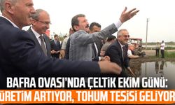 Bafra Ovası’nda Çeltik Ekim Günü: Üretim artıyor, tohum tesisi geliyor