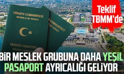 Bir meslek grubuna daha yeşil pasaport ayrıcalığı geliyor