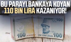 Bu parayı bankaya koyan 110 bin lira kazanıyor!