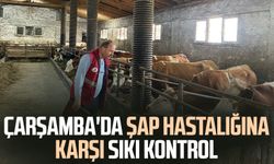 Çarşamba'da şap hastalığına karşı sıkı kontrol