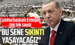 Cumhurbaşkanı Erdoğan tek tek saydı: "Bu sene sıkıntı yaşayacağız"