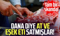 Bakanlık açıkladı: Dana diye at ve eşek eti satmışlar!