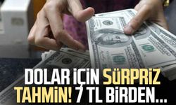 Dolar için sürpriz tahmin! 7 TL birden...