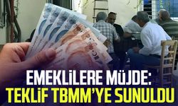 Emeklilere müjde: Teklif TBMM’ye sunuldu