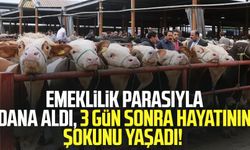 Emeklilik parasıyla dana aldı, 3 gün sonra hayatının şokunu yaşadı!