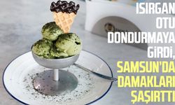 Isırgan otu dondurmaya girdi, Samsun’da damakları şaşırttı